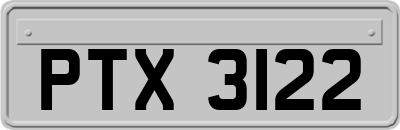 PTX3122