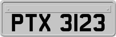 PTX3123