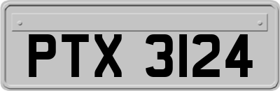 PTX3124