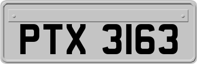 PTX3163