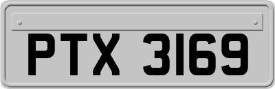 PTX3169