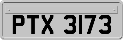 PTX3173