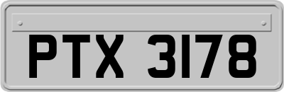 PTX3178