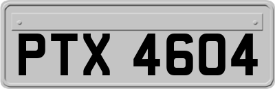 PTX4604