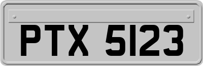 PTX5123