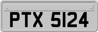 PTX5124