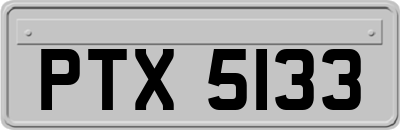 PTX5133