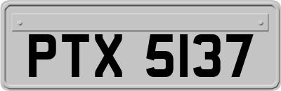 PTX5137