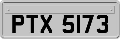 PTX5173