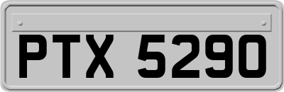 PTX5290