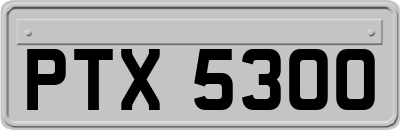 PTX5300