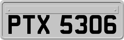 PTX5306