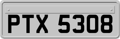 PTX5308