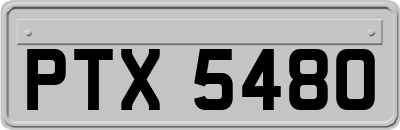 PTX5480