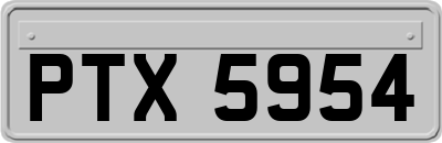 PTX5954