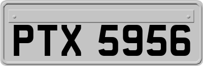 PTX5956