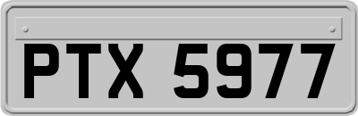 PTX5977