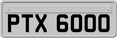 PTX6000