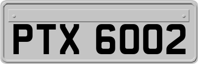 PTX6002