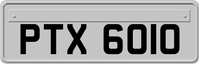 PTX6010