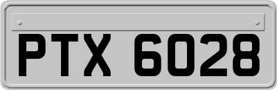 PTX6028