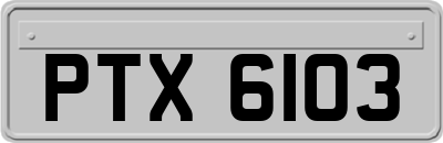 PTX6103