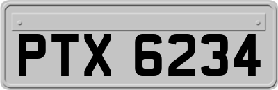 PTX6234