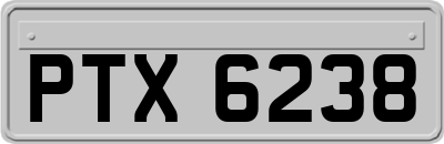 PTX6238