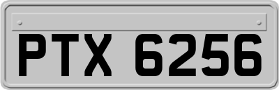 PTX6256