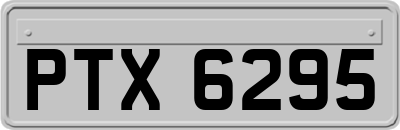 PTX6295