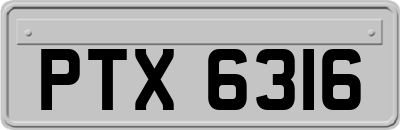 PTX6316