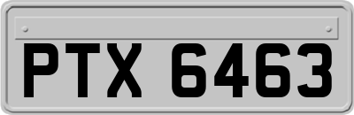 PTX6463