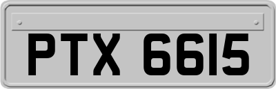 PTX6615