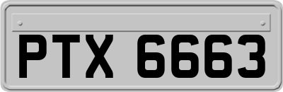 PTX6663