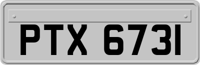 PTX6731