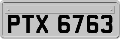 PTX6763