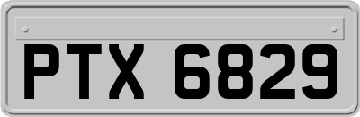 PTX6829