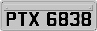 PTX6838