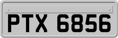 PTX6856