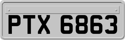 PTX6863