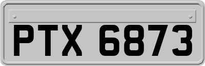 PTX6873