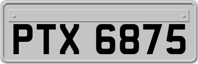 PTX6875