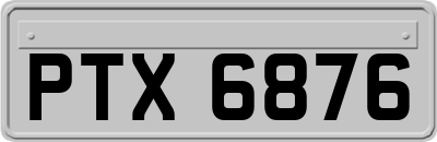 PTX6876