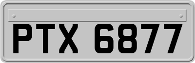 PTX6877