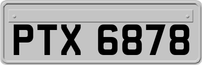 PTX6878