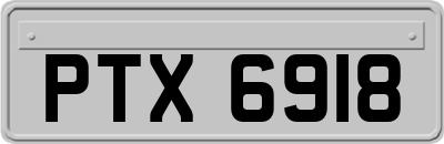 PTX6918