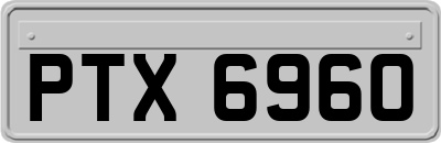 PTX6960