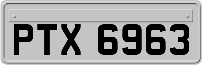 PTX6963