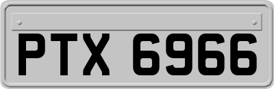 PTX6966