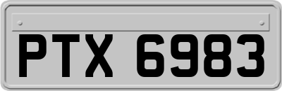 PTX6983